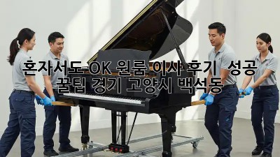 혼자서도 OK! 원룸 이사 후기 & 성공 꿀팁 (경기 고양시 백석동)